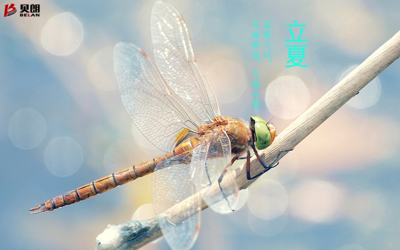 贝朗自动化设备公司 贝朗自动化设备公司