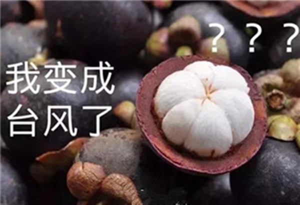 贝朗自动化设备浅谈台风“山竹) 贝朗自动化设备浅谈台风“山竹)