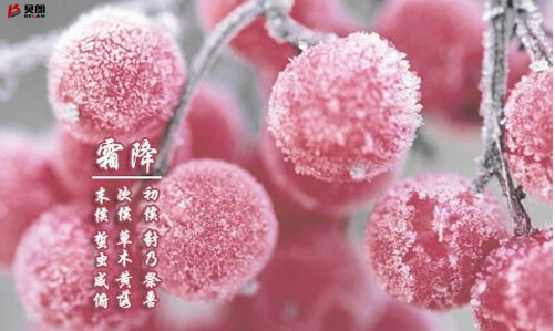 贝朗自动化设备——霜降 贝朗自动化设备——霜降