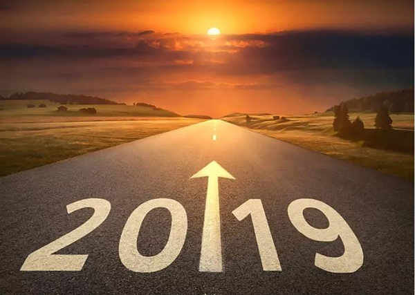 2019年图 2019年图