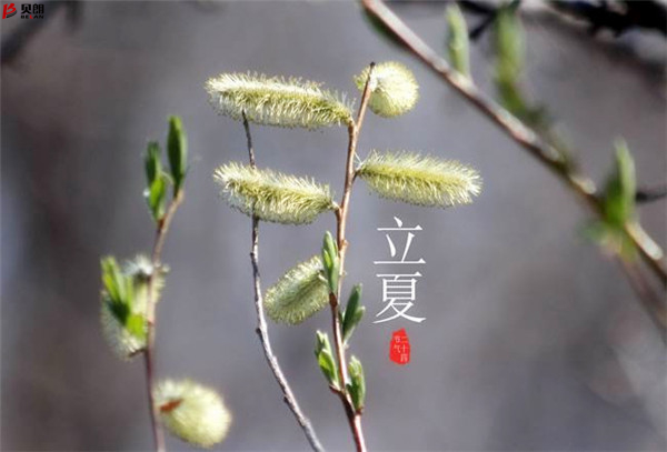 转载网上图片——立夏 转载网上图片——立夏