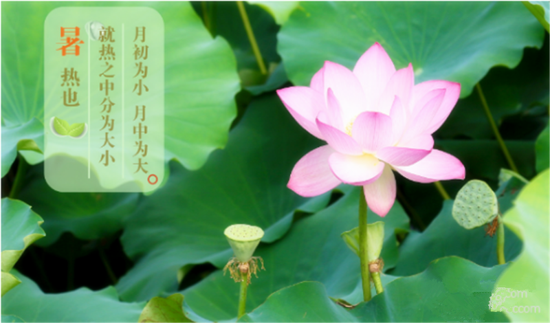 暑臻三伏醉难熬，拭汗挥巾似雨飘——铁丝成型机