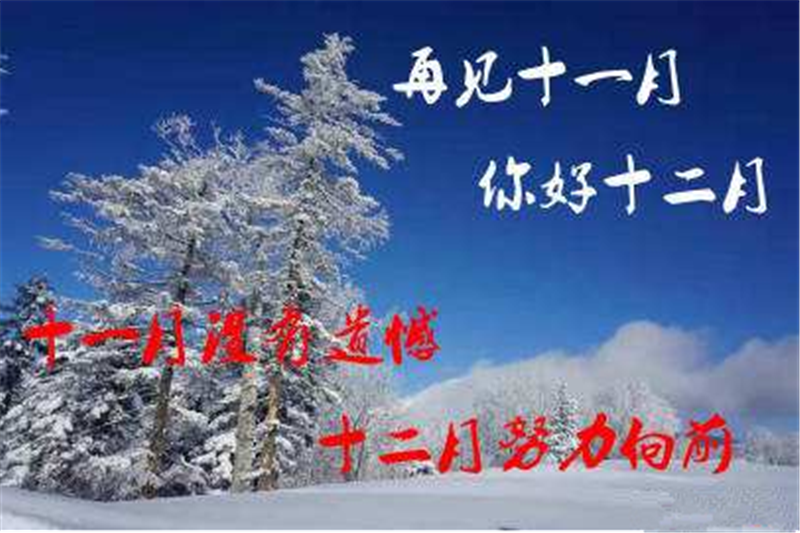 11月再见、12月你好