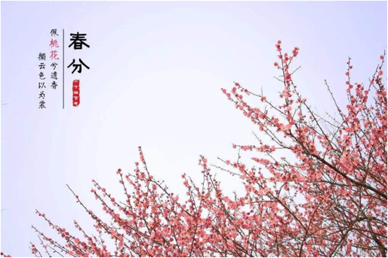 何为二十四节气“春分”贝朗线材自动成型机小编带您了解