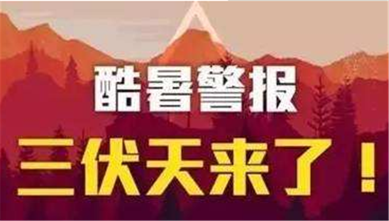 三伏已入，愿您安然度夏——贝朗高 效数控折弯机械