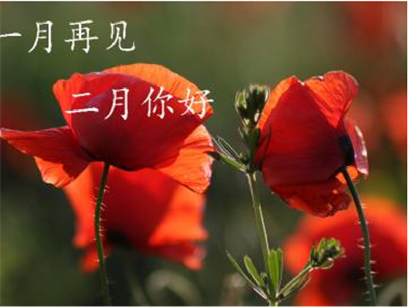 一月再见，美好的二月你好啊